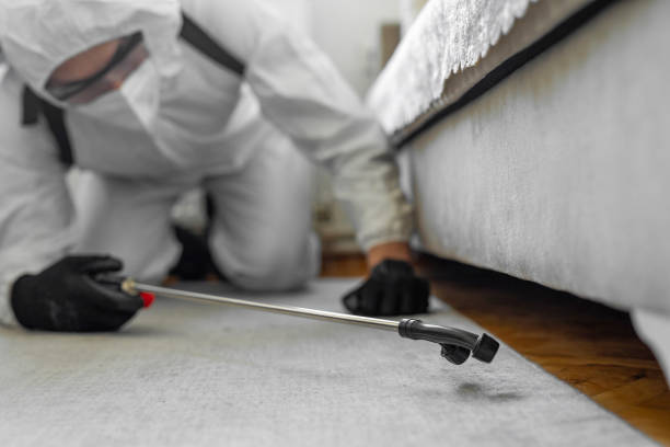 Professional Mosquito Control technician working in Rotan, TX