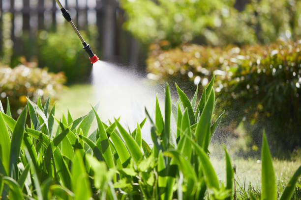 24/7 Emergency Mosquito Control experts in Rotan, TX