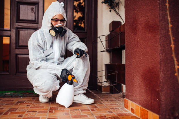 Reliable Mosquito Control contractor in Rotan, TX by Nex Pest Control