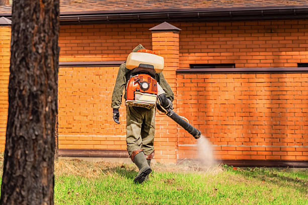 Top rated local Mosquito Control specialists in Rotan, TX